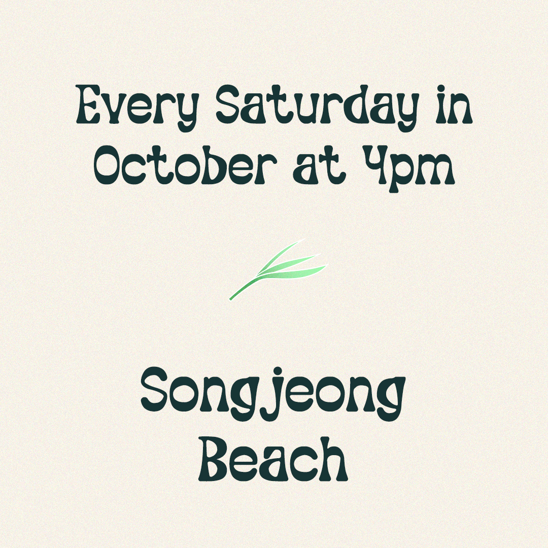 5. Busan Wellness Welcome Class – Sunset Surfing With Tea Ceremony.jpg
